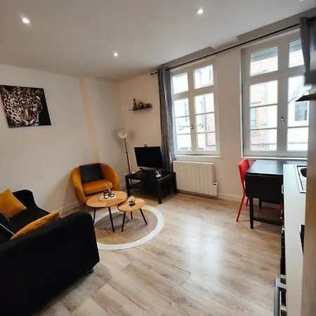 Апартаменты La Feline - Duplex - Vieux - Familial Валансьен